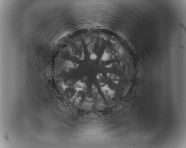 X0000100491063200806271231