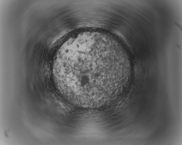 X0000100491064200806271231