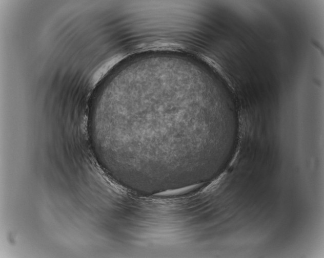 X0000100491066200806271231