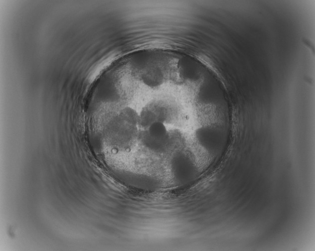 X0000100491067200806271231