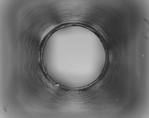 X0000100491069200806271231