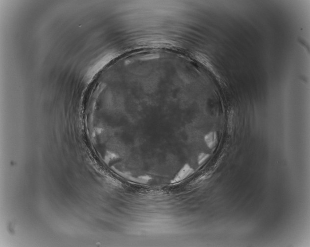 X0000100491071200806271231