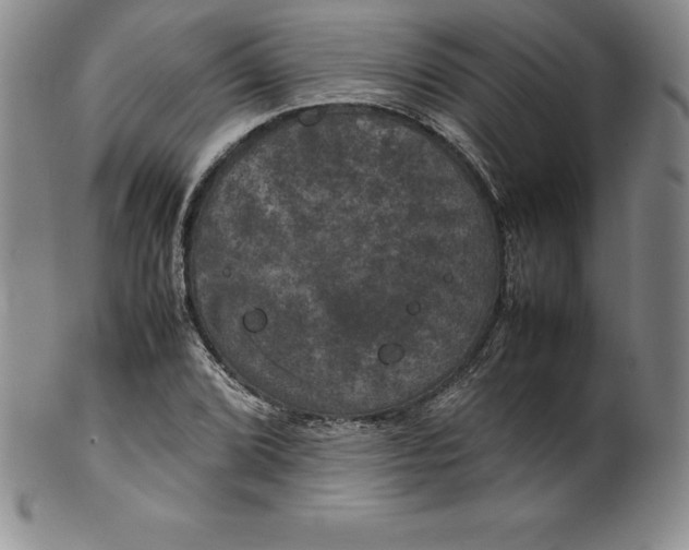 X0000100491072200806271231