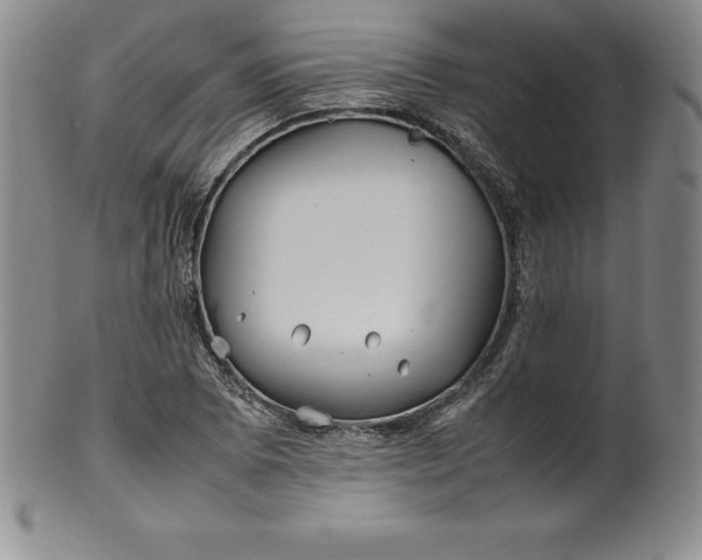 X0000100491073200806271231