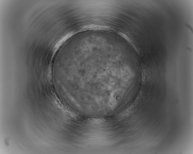 X0000100491074200806271231