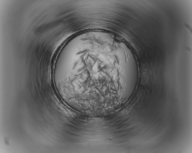 X0000100491076200806271231