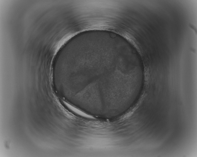 X0000100491077200806271231