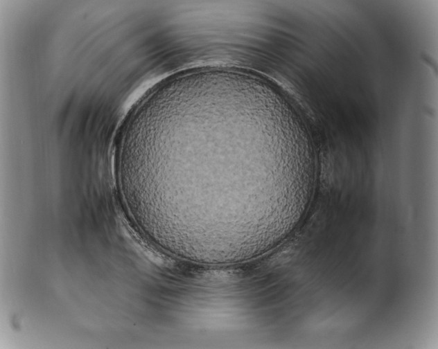 X0000100491078200806271231