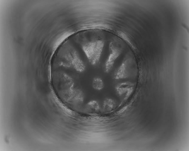 X0000100491079200806271231