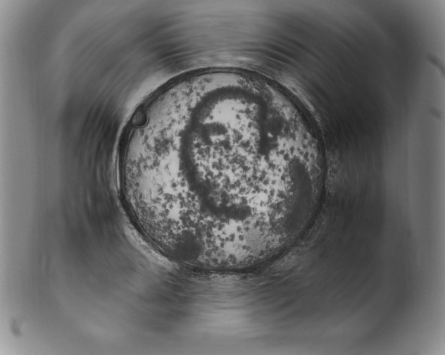 X0000100491080200806271231