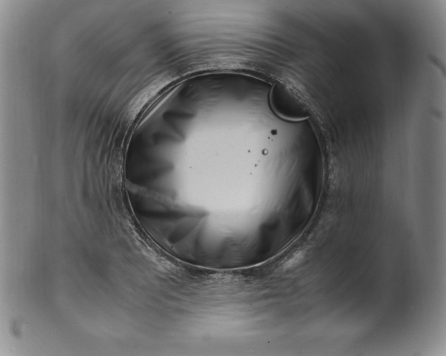 X0000100491081200806271231