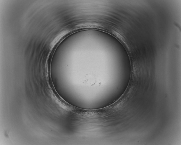 X0000100491082200806271231