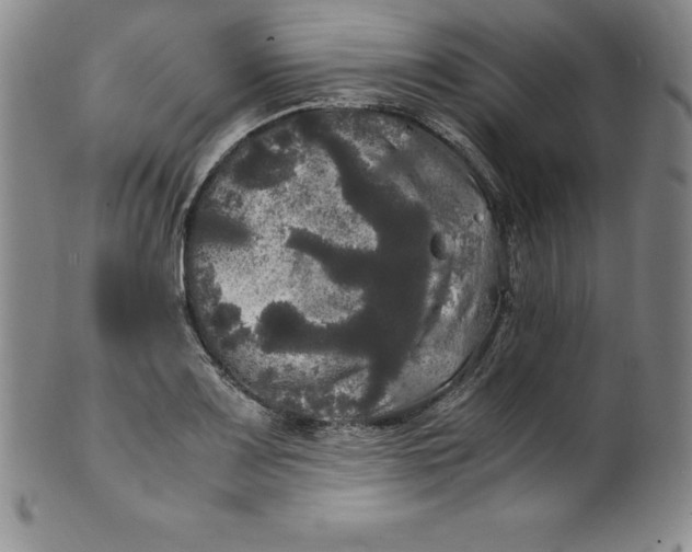 X0000100491083200806271231