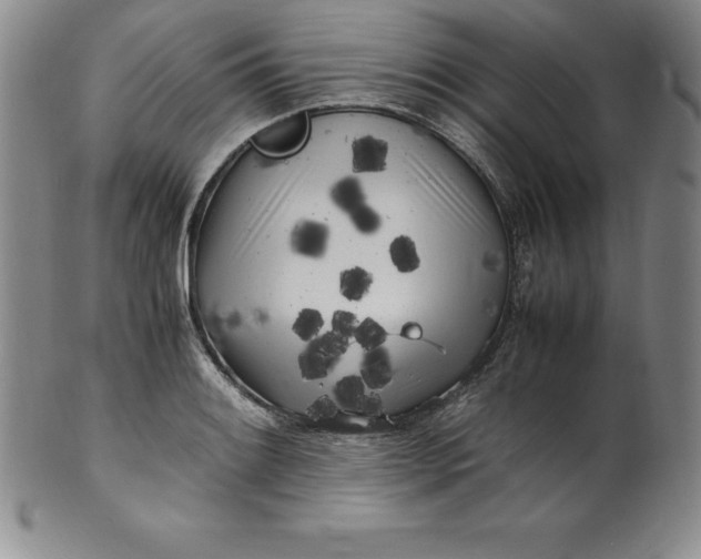 X0000100491084200806271231