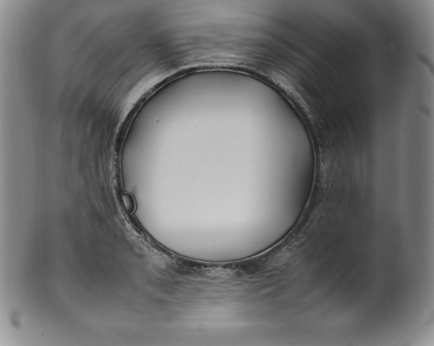 X0000100491085200806271231