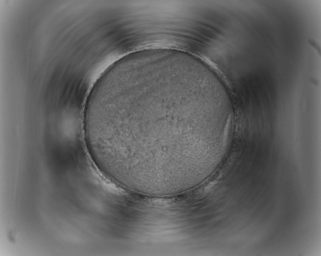 X0000100491086200806271231