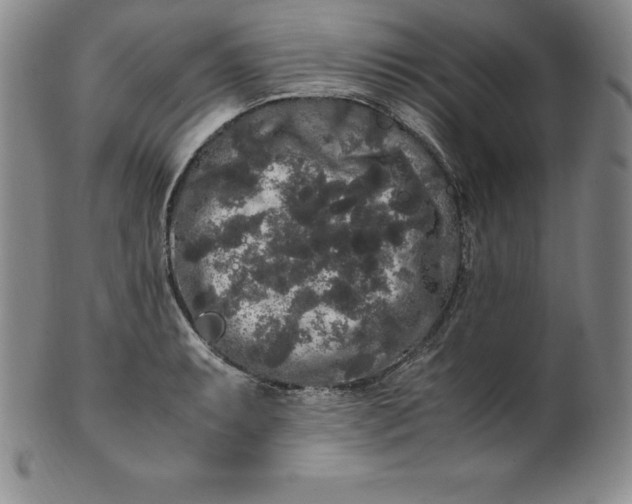 X0000100491087200806271231