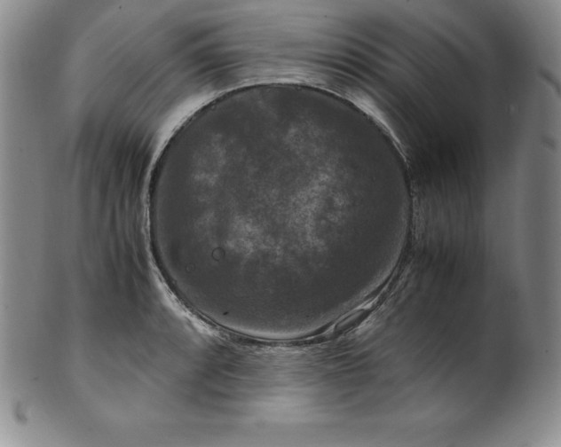 X0000100491088200806271231