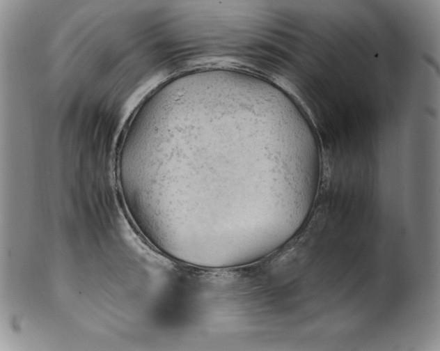 X0000100491090200806271231