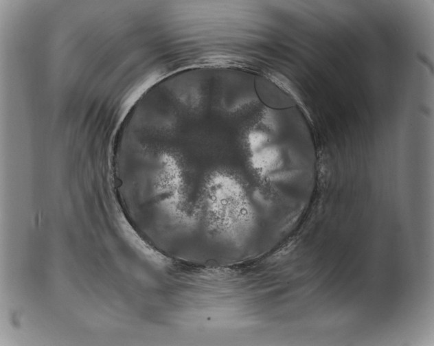 X0000100491091200806271231