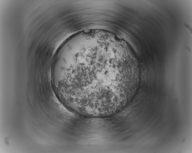 X0000100491092200806271231