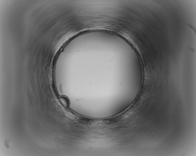 X0000100491093200806271231