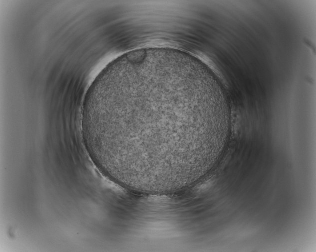 X0000100491094200806271231