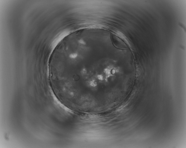 X0000100491095200806271231