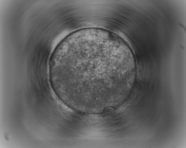 X0000100491096200806271231