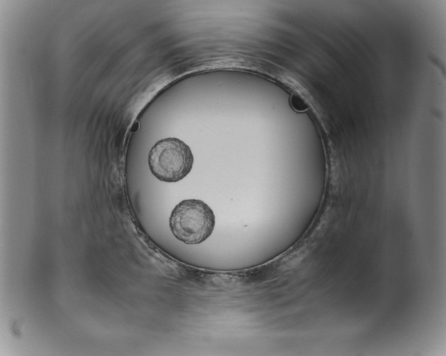 X0000100491097200806271231