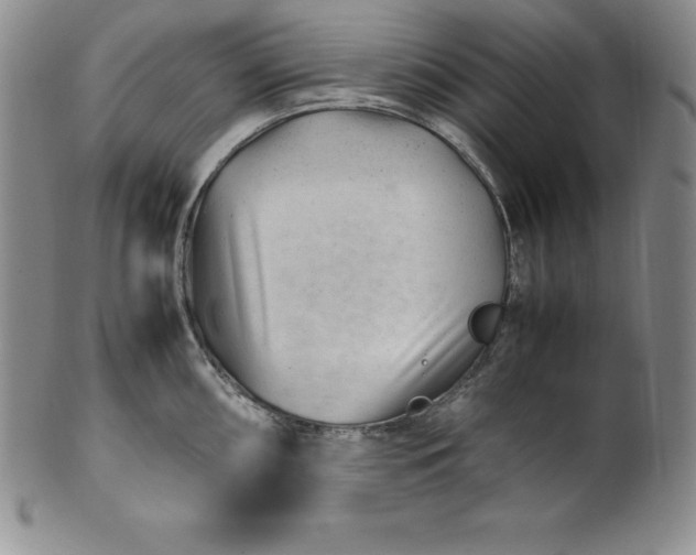 X0000100491098200806271231