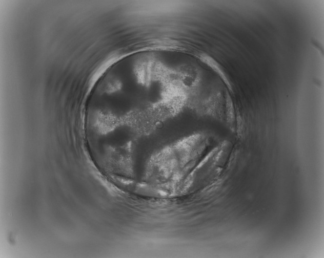 X0000100491099200806271231