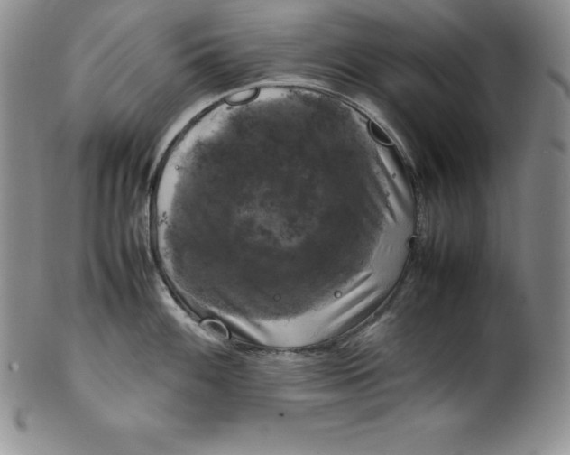 X0000100491100200806271231