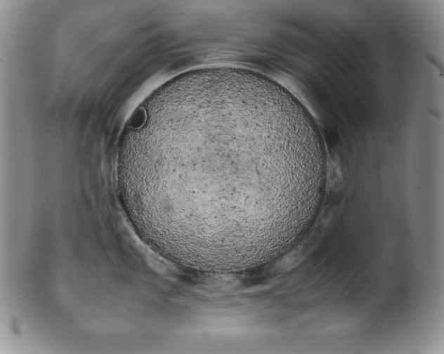 X0000100491101200806271231