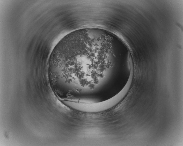 X0000100491102200806271231