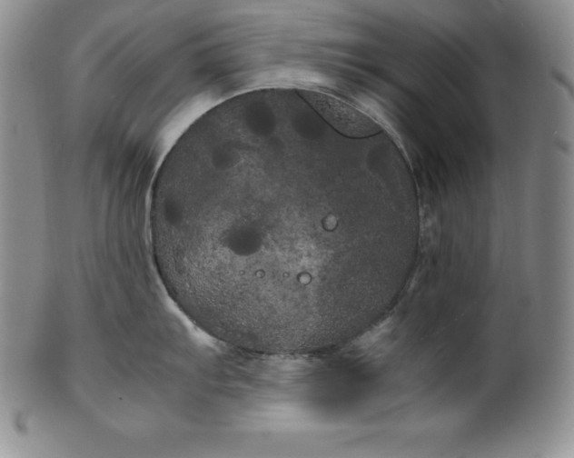 X0000100491103200806271231