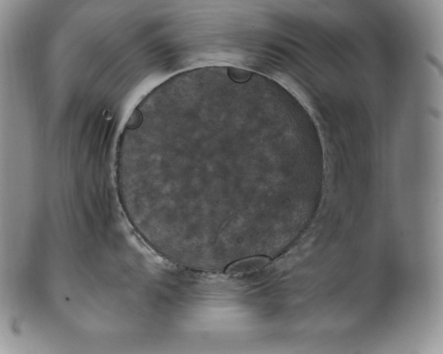 X0000100491104200806271231