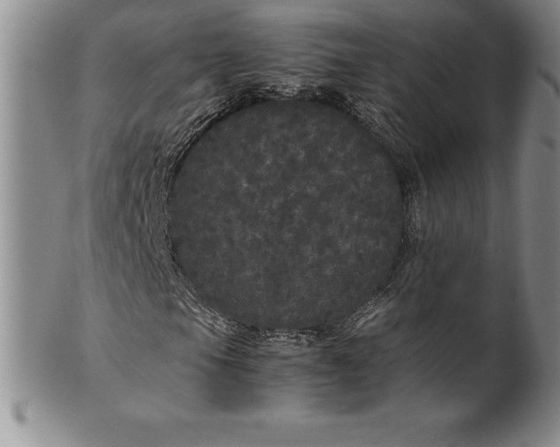 X0000100491105200806271230