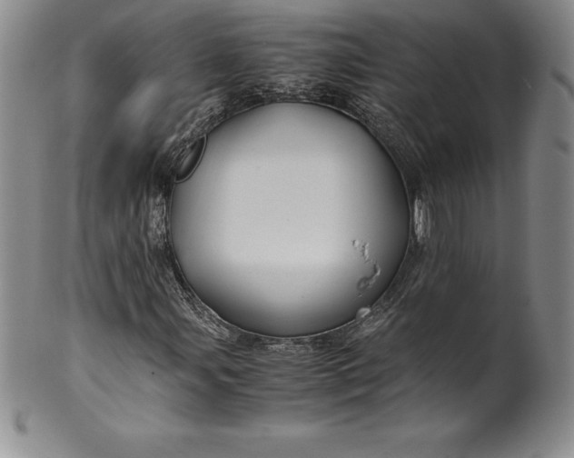 X0000100491107200806271230