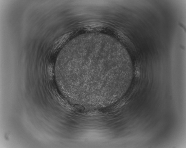 X0000100491108200806271230