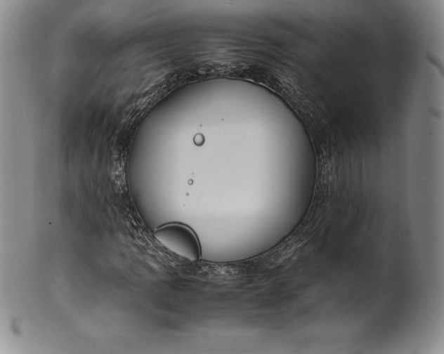 X0000100491109200806271230