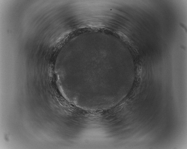 X0000100491110200806271230