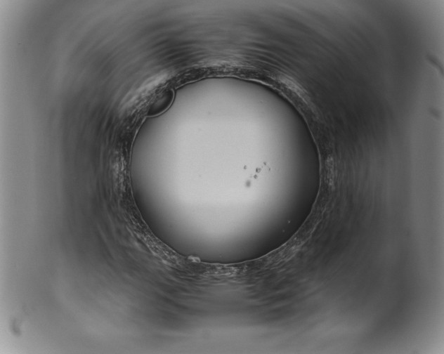 X0000100491111200806271230