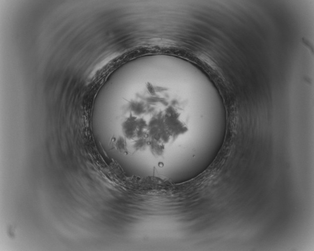 X0000100491112200806271230