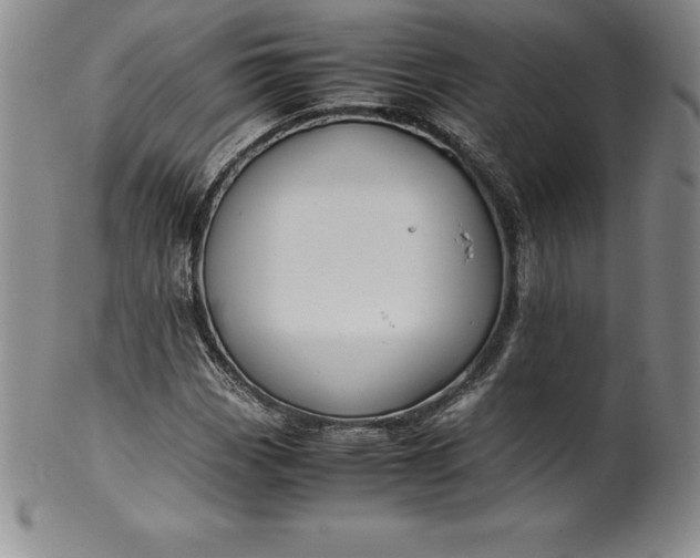 X0000100491113200806271230