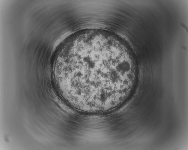 X0000100491114200806271230