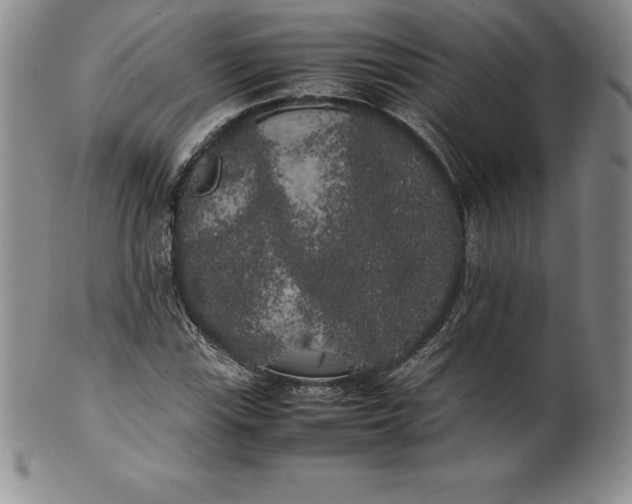 X0000100491115200806271230