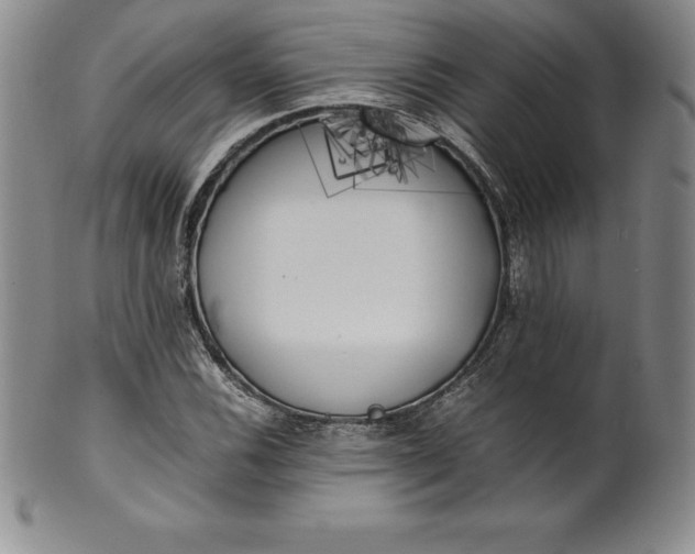 X0000100491116200806271230