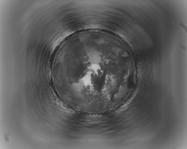 X0000100491117200806271230