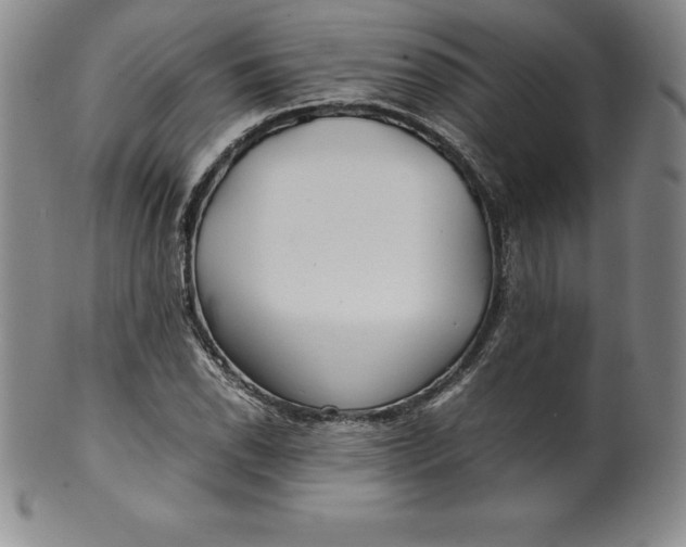 X0000100491118200806271230